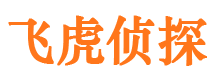 商都市婚姻调查